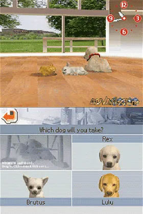 Nintendogs - Lab & Friends (USA) screen shot game playing